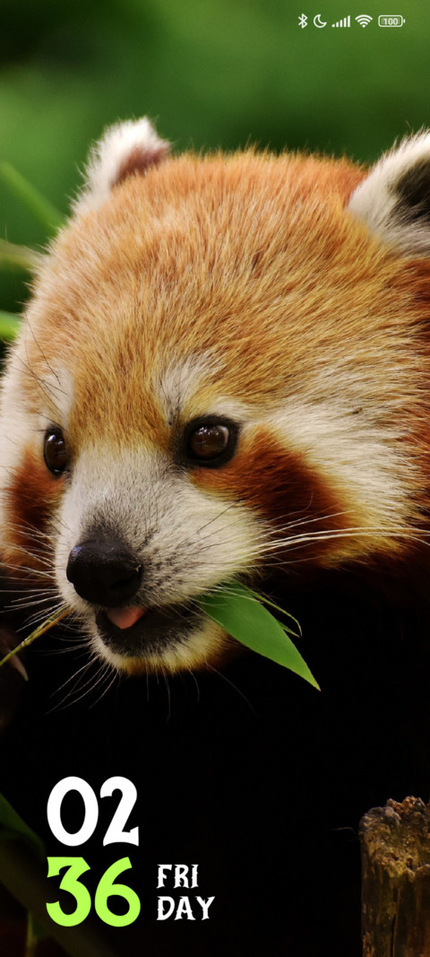 Furry Peek screenshot