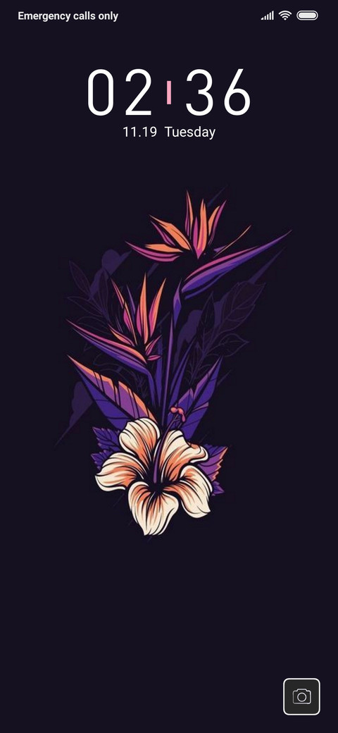 Dark Flower_DWM3 screenshot