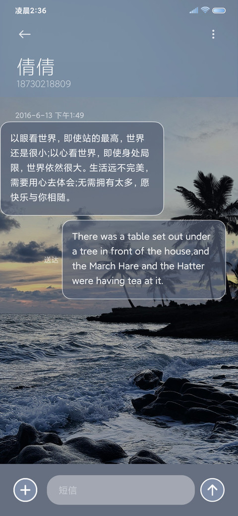 椰林 海岸晨昏线 screenshot