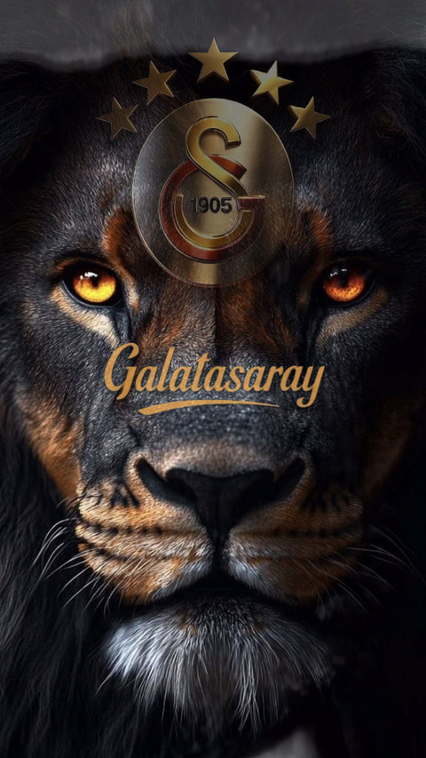 GS Galatasaray 1905 screenshot