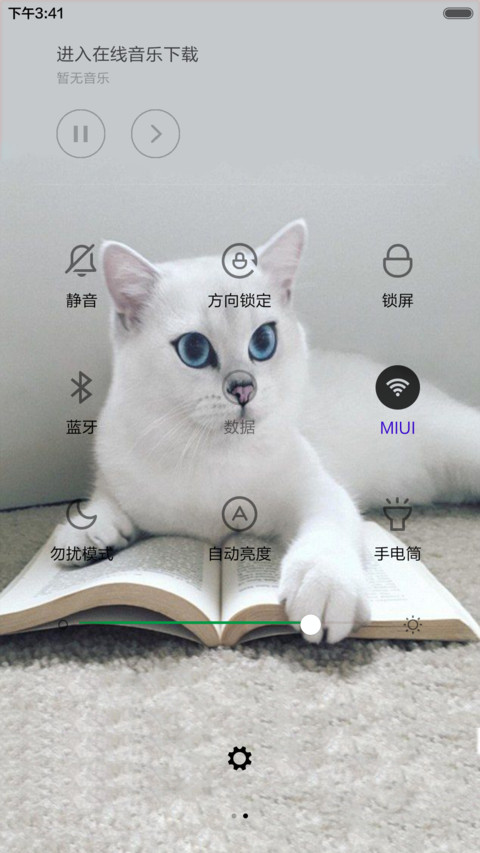 可爱猫咪（音乐锁屏+全图标） screenshot
