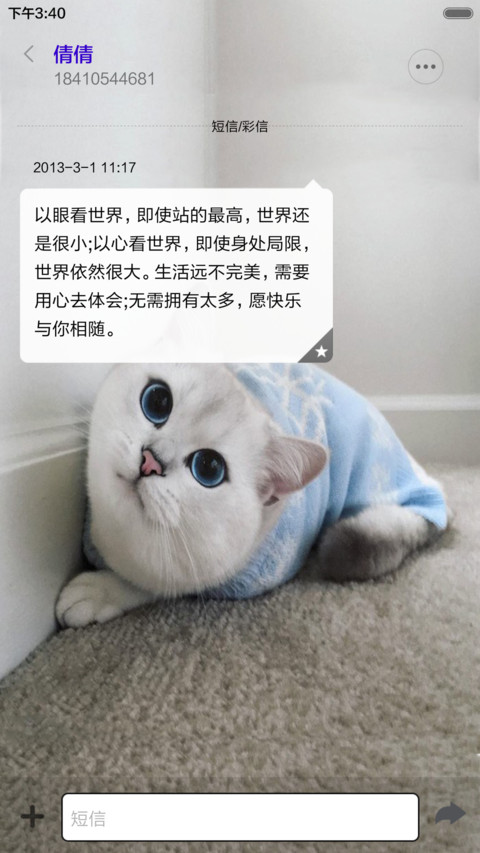 可爱猫咪（音乐锁屏+全图标） screenshot