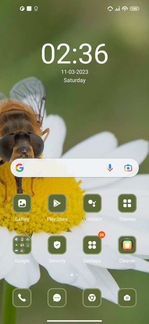 Insect screenshot