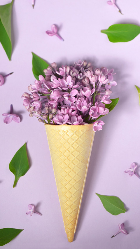 Simple and fashionable bouquet packaging method 0 screenshot