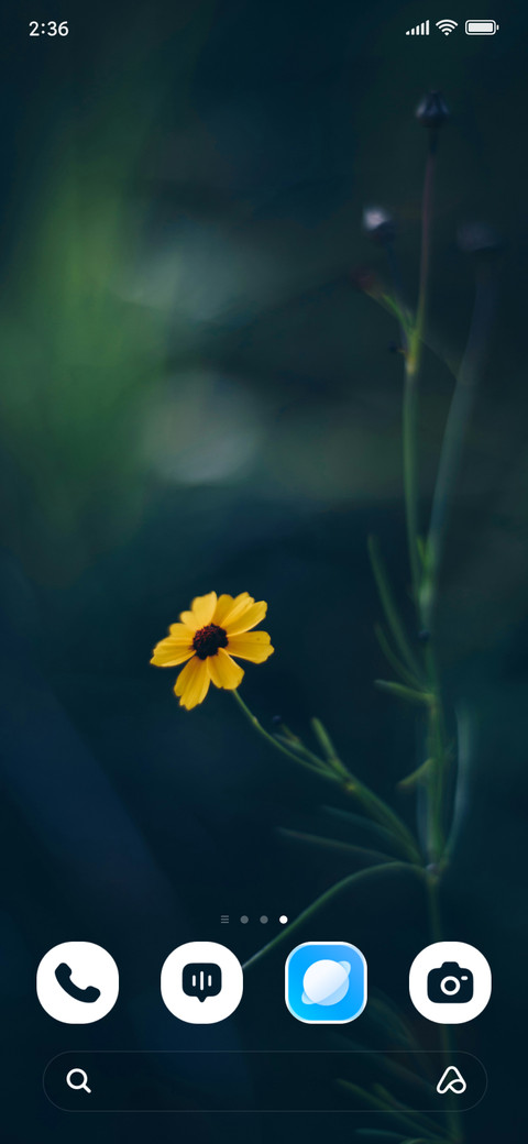Sunlit Petals screenshot