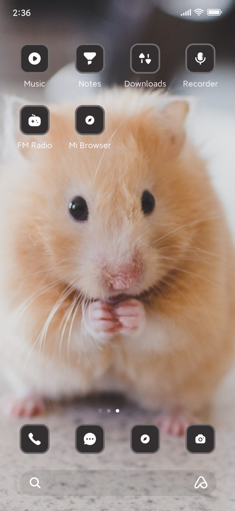 hamster screenshot