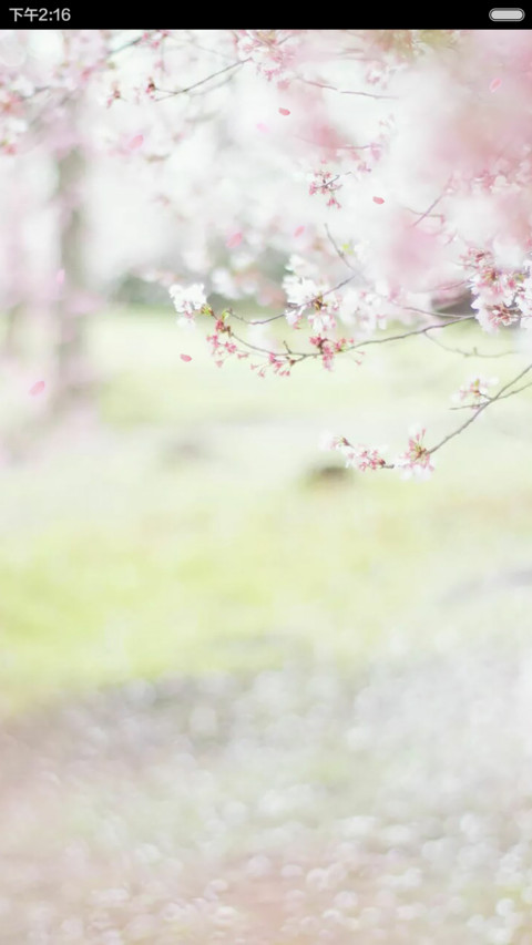 【好评】樱花落 screenshot