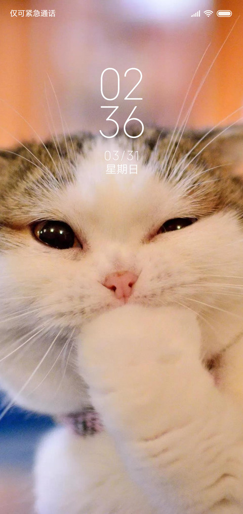 萌宠猫咪OSg screenshot