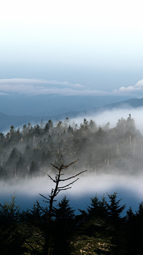 The mist locks the mountains and the morning light is screenshot