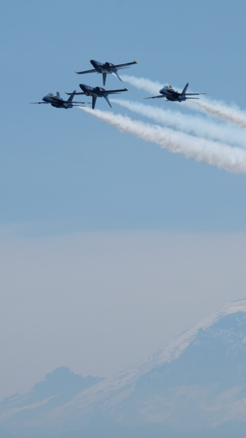 Aerial Predators (11) screenshot