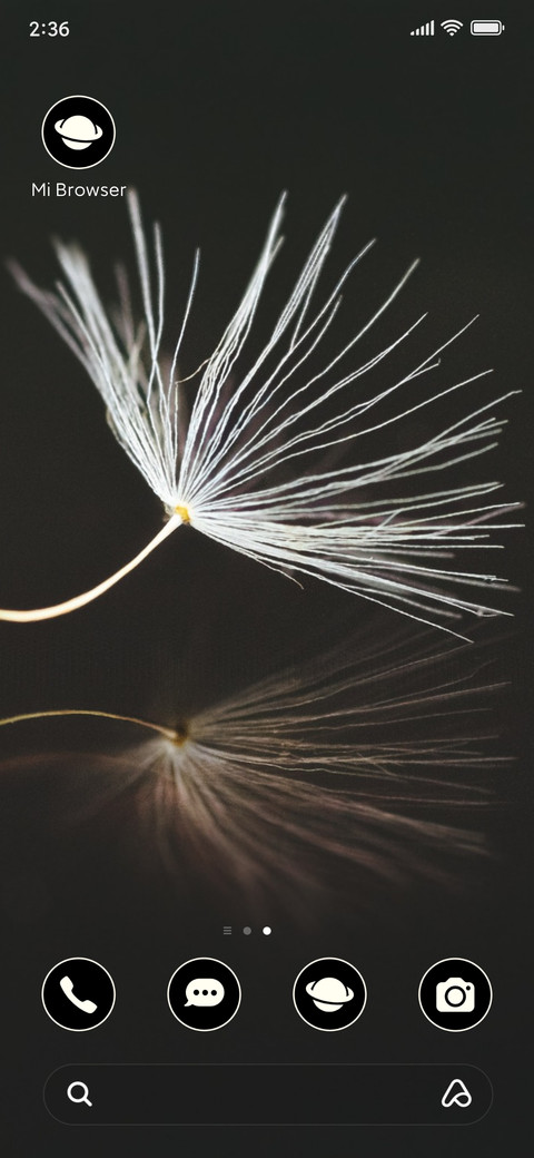 minimal dandelion screenshot