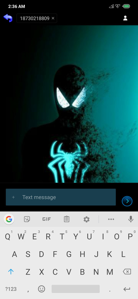 Spiderman V11 screenshot