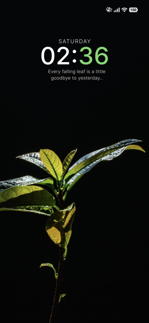 Fresh Sprout screenshot