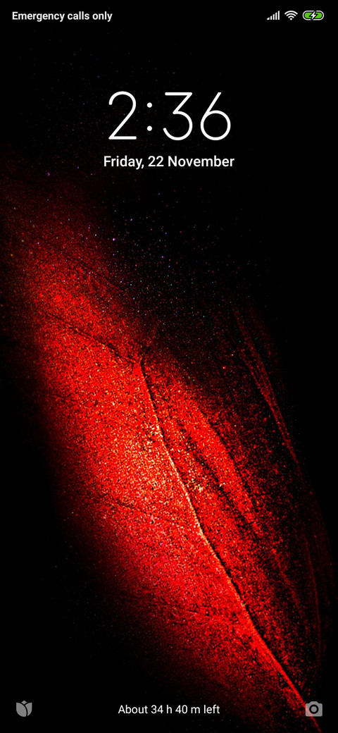 RedFox screenshot