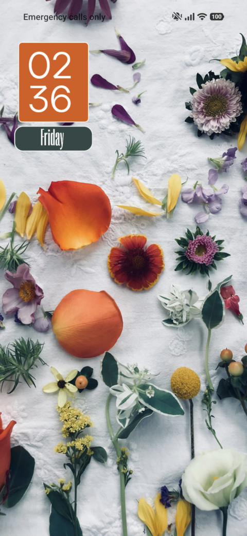 Floral screenshot