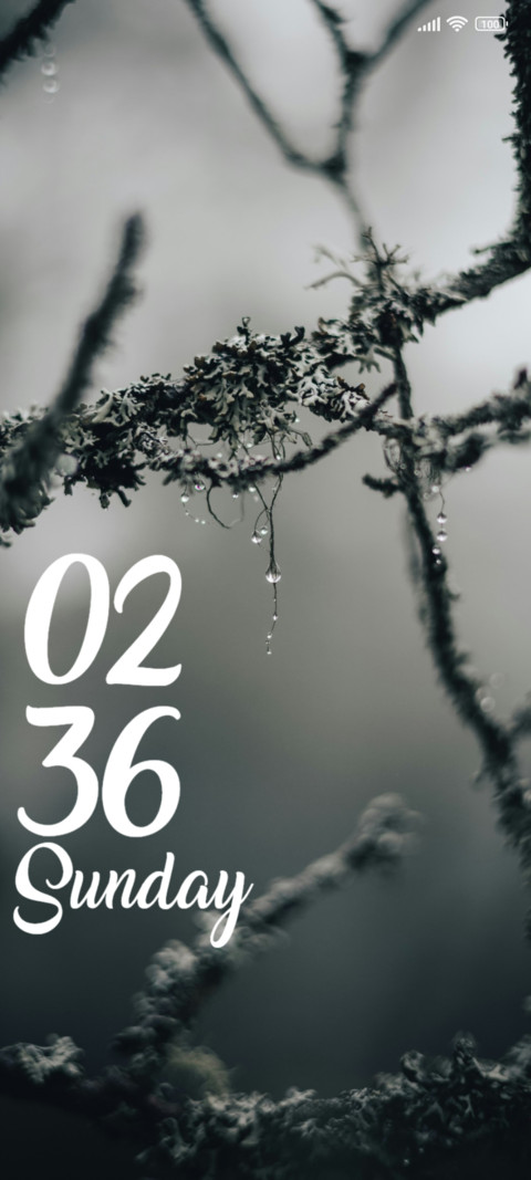 Fog screenshot