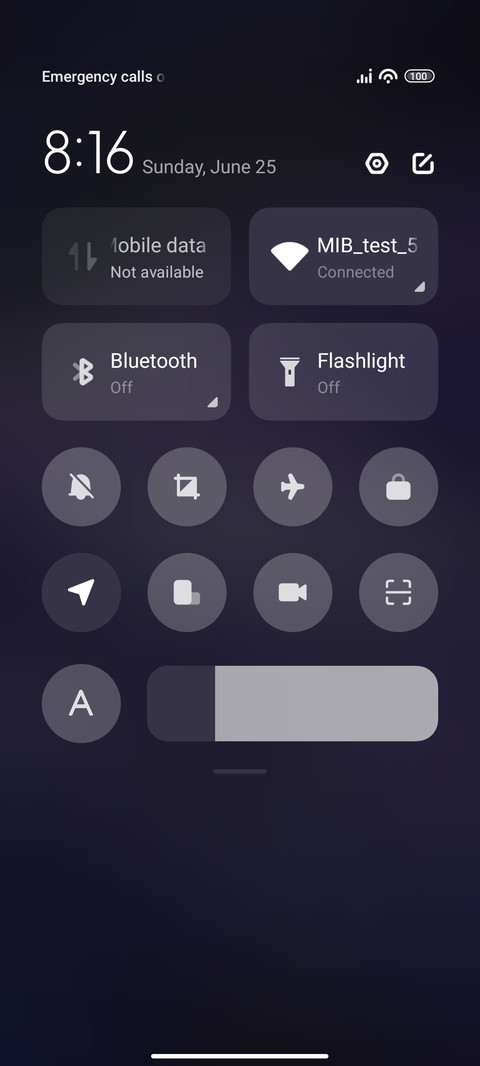 Crocus Purple screenshot