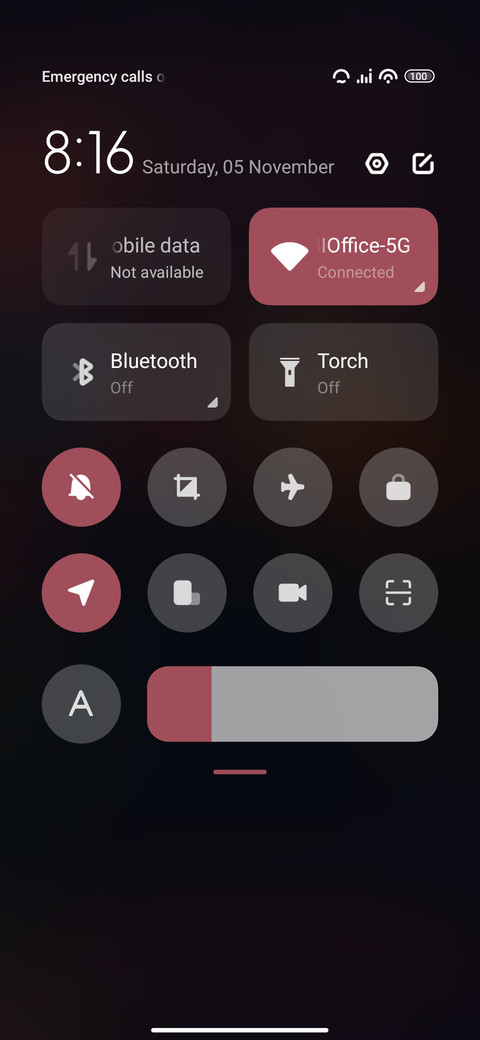 Flower Bulb screenshot