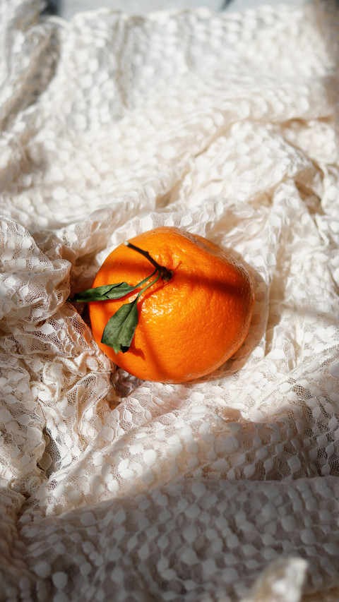 Citrus under sunlight screenshot