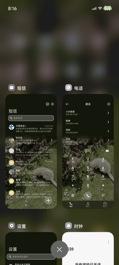 春野有猫 繁花为伴 screenshot