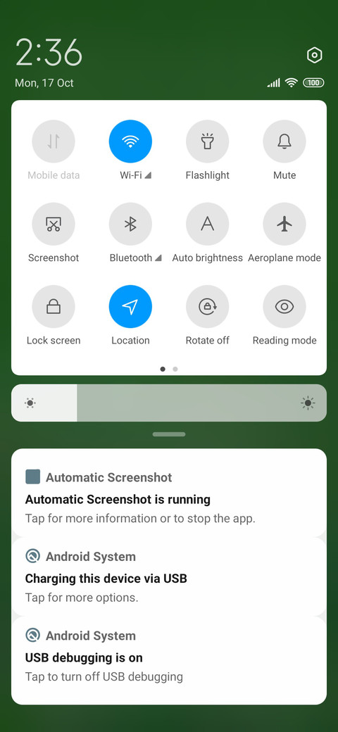 Wildflowers screenshot