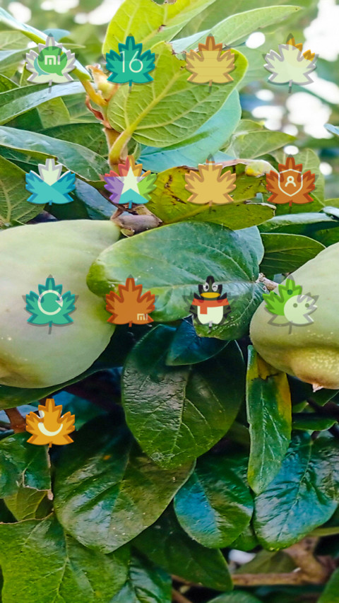 Fruits_DWM3 screenshot