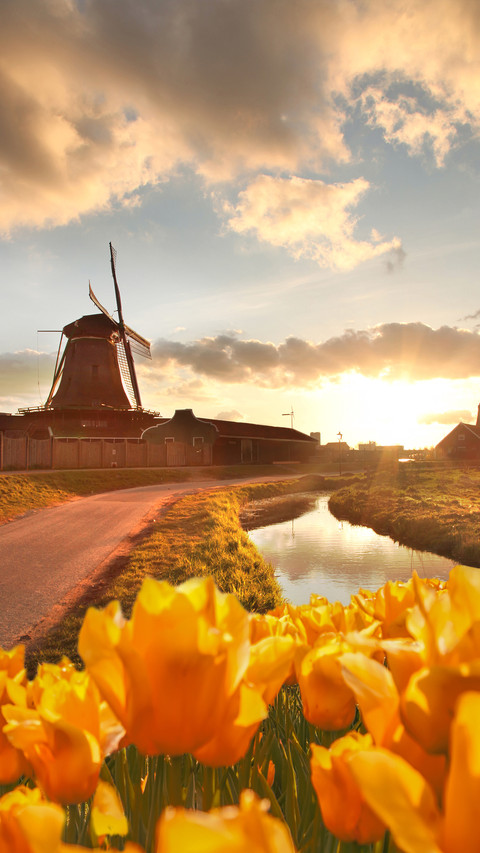 Windmill screenshot