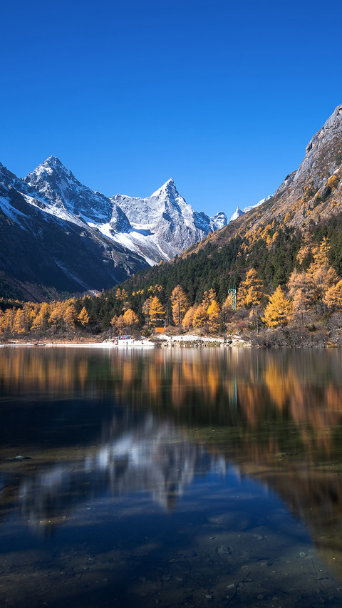 Forest And Lake Under The Snow Mountain screenshot