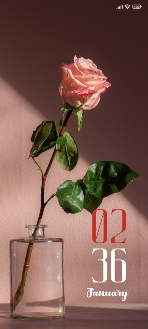 Rose screenshot