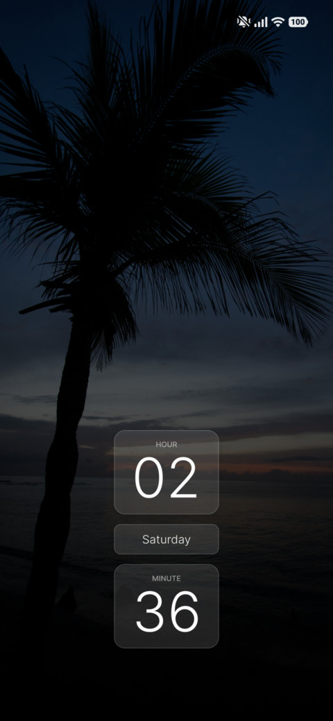 Sunset Palm screenshot