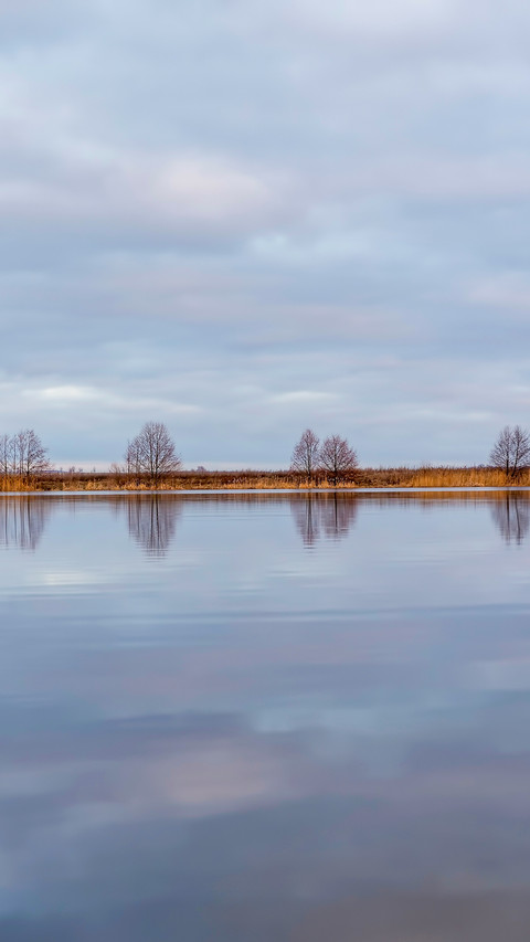 Lake in winter during sunrise screenshot