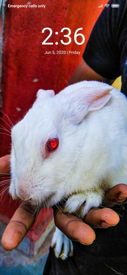 Rabit_DWM2 screenshot