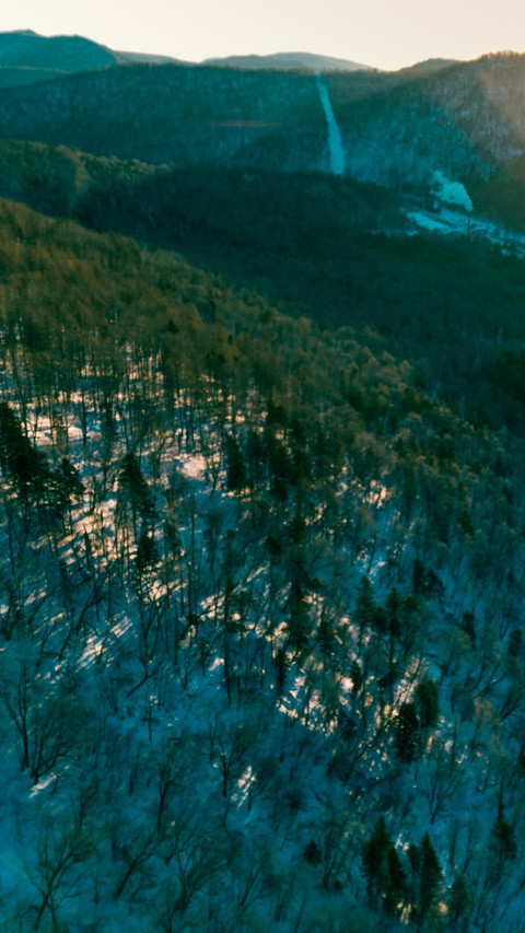 Snow Village Morning Twilight in the Sea of Forest screenshot