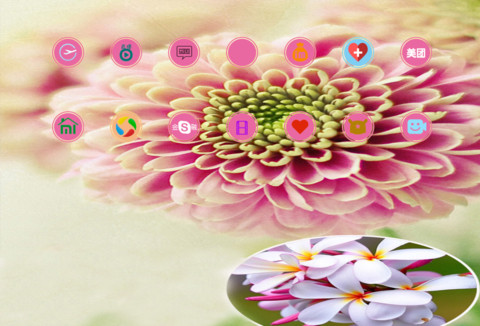 那些花儿 screenshot