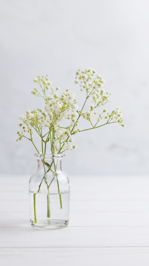Paniculata branches in glass bottle on white wood floor screenshot