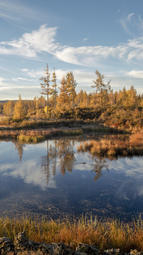 Autumn fills the mountains and rivers screenshot