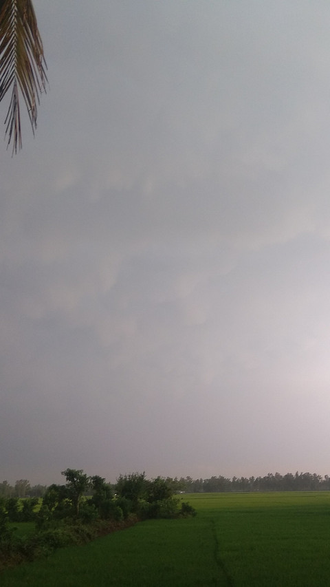 landing-1561 screenshot