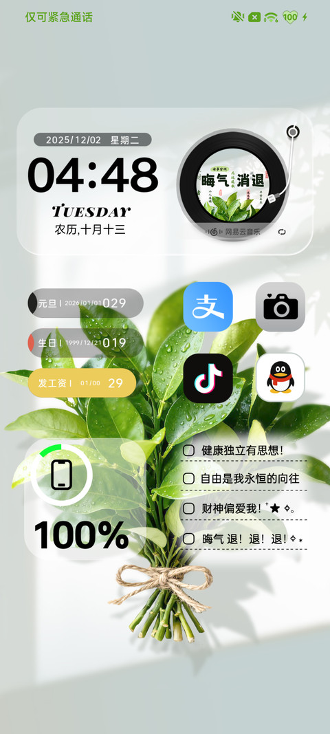 柚子叶壁纸 screenshot