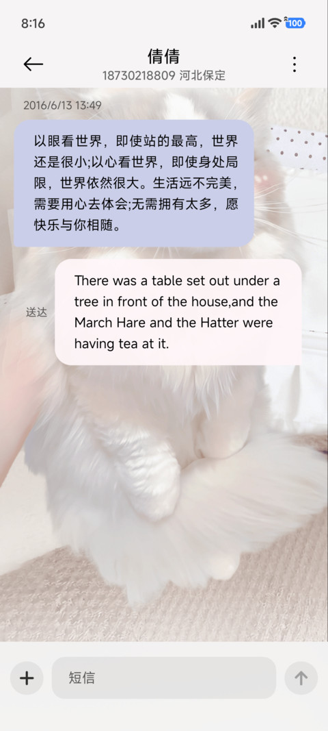 喵的限定营业日 screenshot
