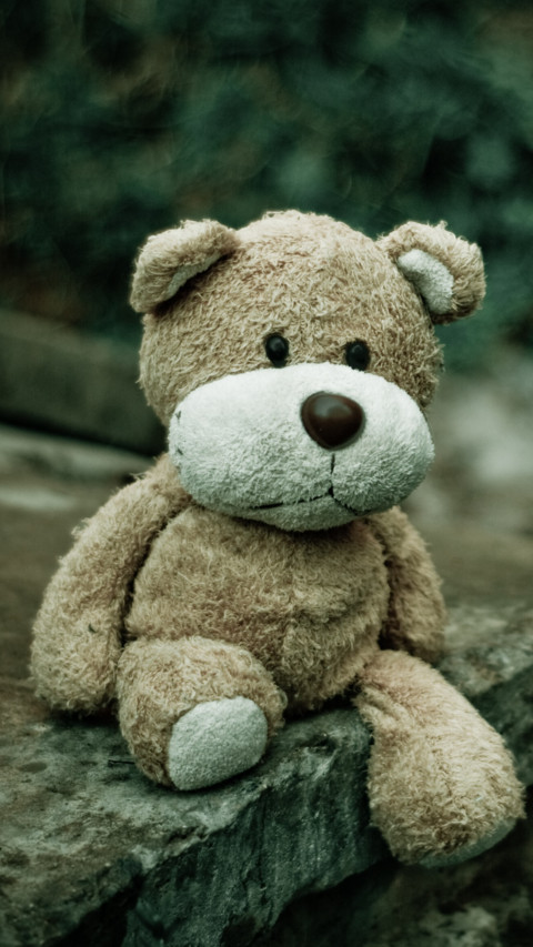 Teddy Day (5) screenshot
