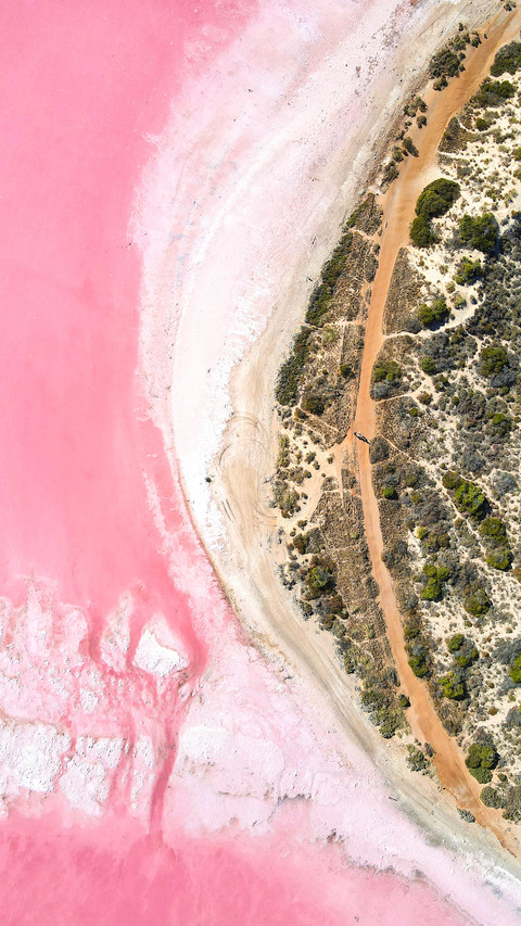 The earth secretly applied dopamine eyeshadow screenshot
