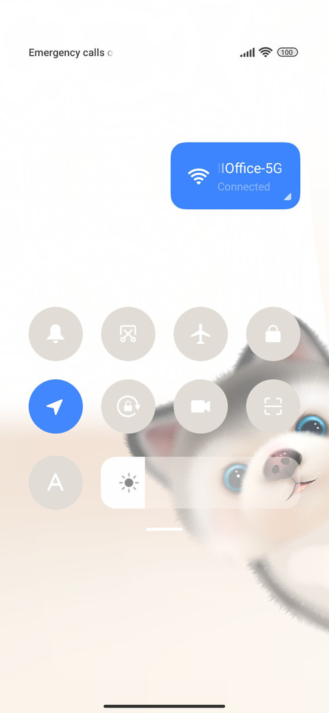 Cute husky screenshot
