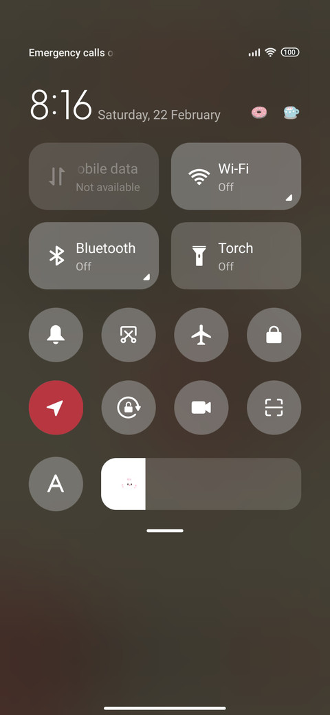 Apple cat  screenshot