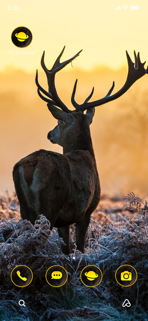 Wildlife 22 screenshot