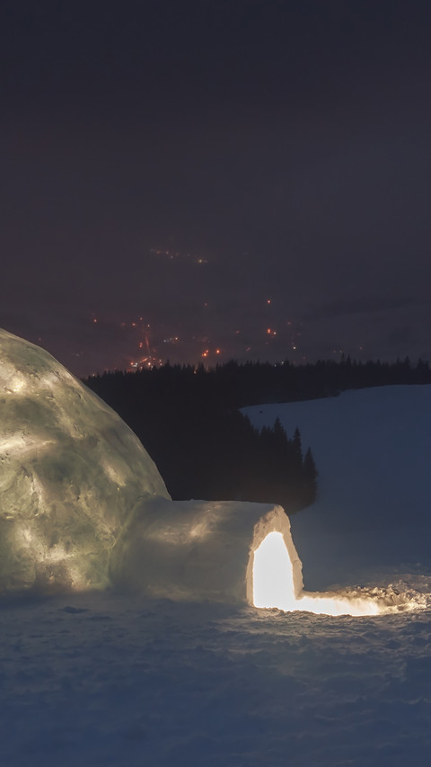 Ice Fishing Activities screenshot