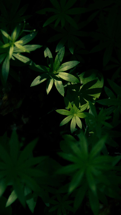 岁月无欺 努力必达 screenshot