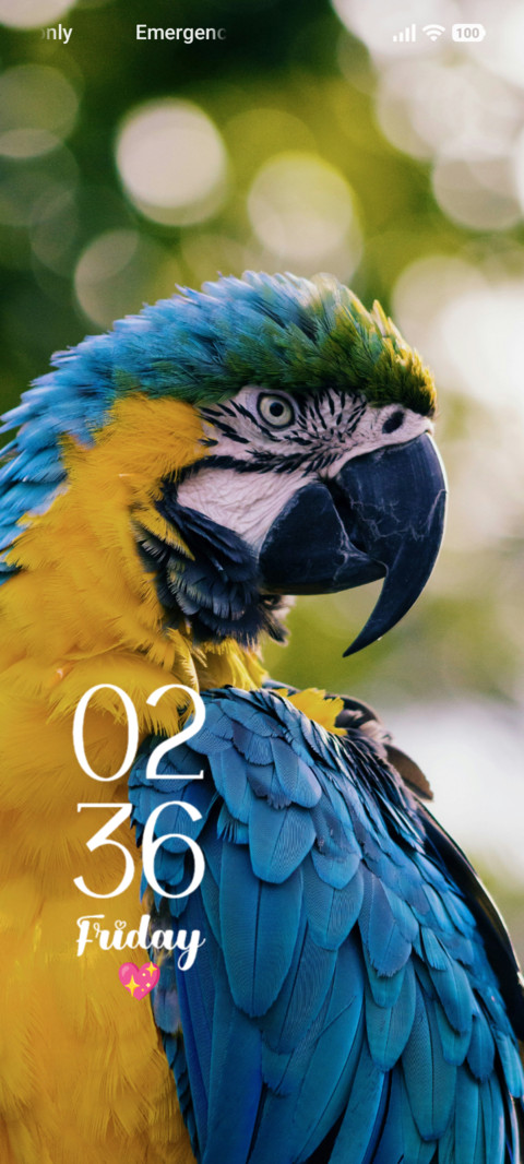 Parrot screenshot