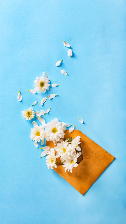 A Letter from Spring screenshot