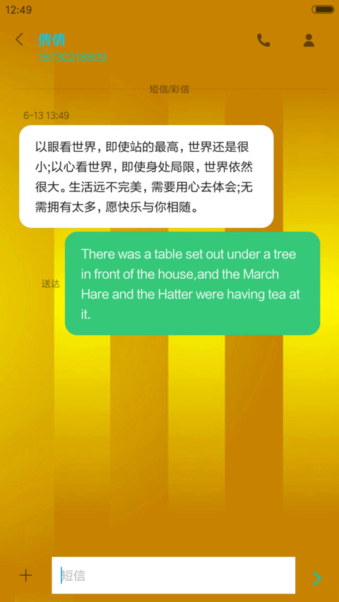 招财龙龟（全动效） screenshot