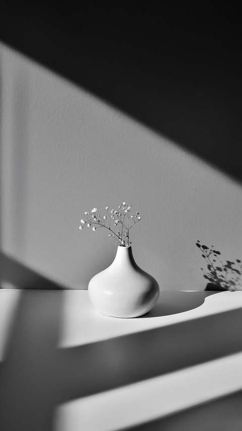 with small white flowers in geometric shadows from sunlight screenshot